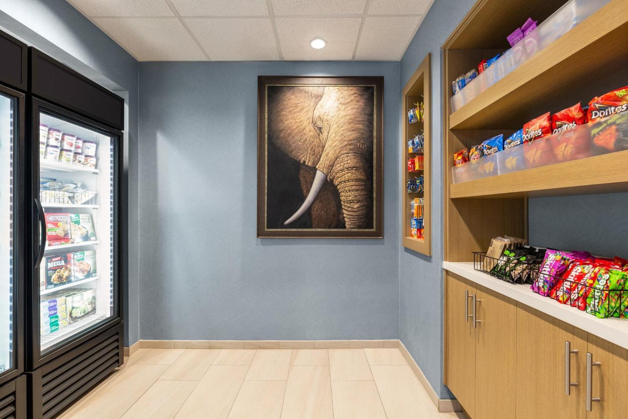 Holiday Inn Express & Suites - Tuscaloosa-University By Ihg Zewnętrze zdjęcie